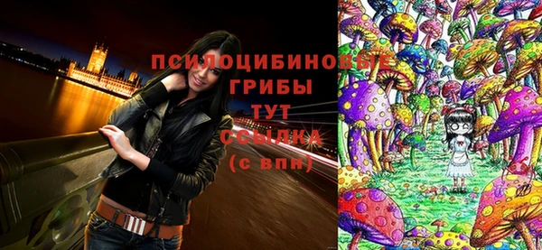 прущие крисы Алагир
