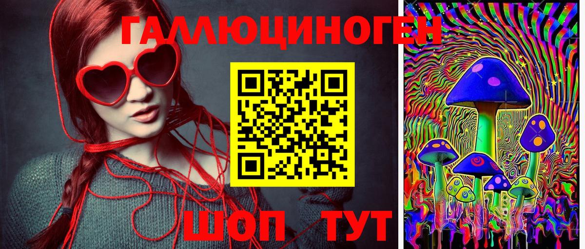 Псилоцибиновые грибы Psilocybe  Галлюциногенные грибы ЛСД  Шебекино 