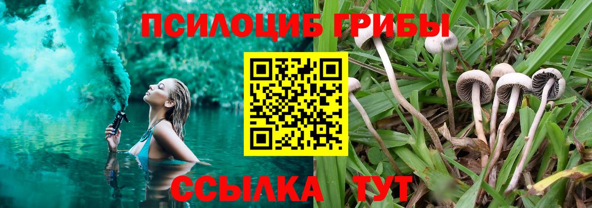 Галлюциногенные грибы Cubensis Шебекино