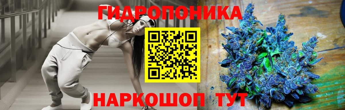 Шишки марихуана Amnesia  Шебекино  Каннабис конопля  Каннабис гибрид 